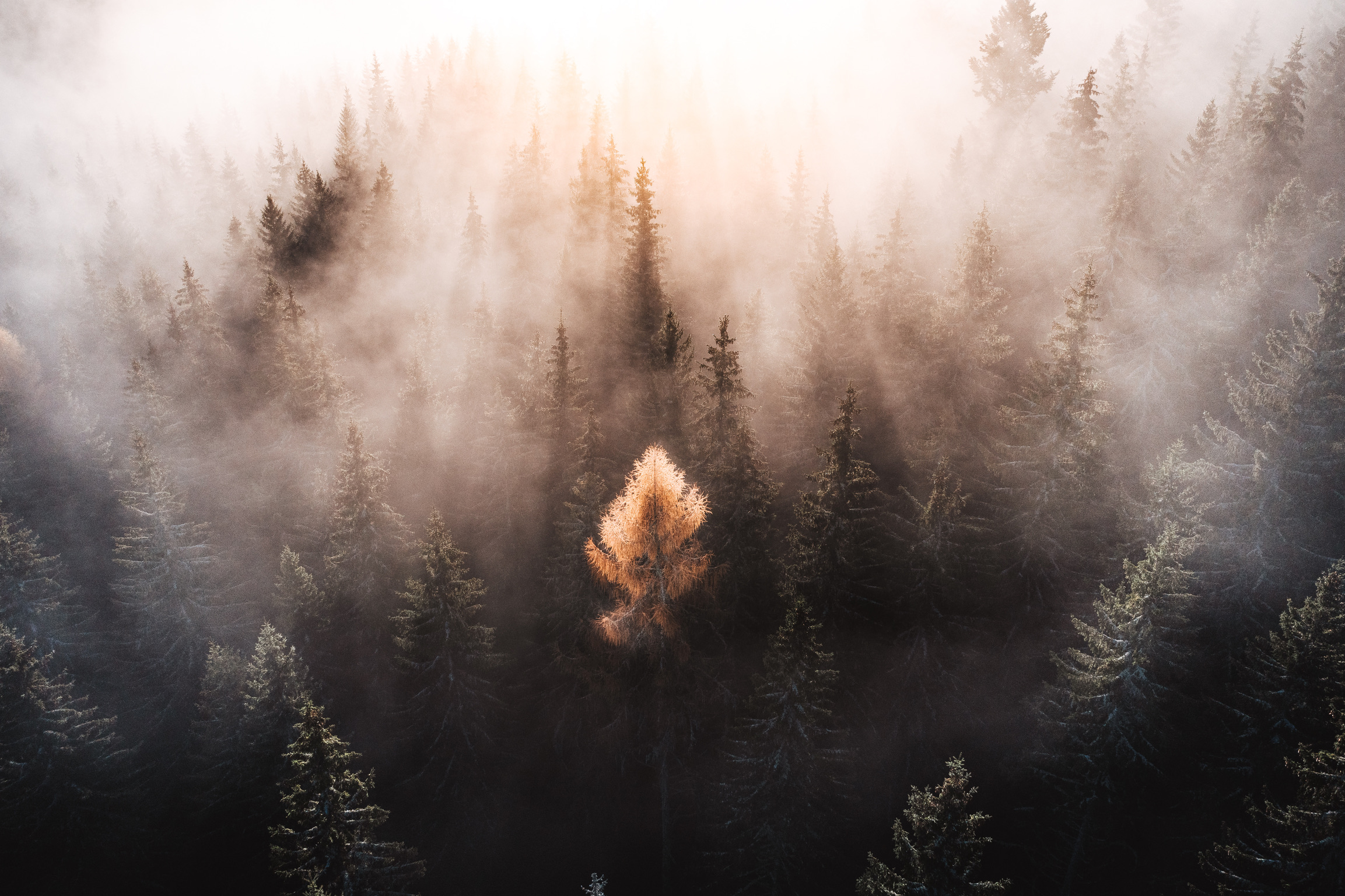 Ihr verlässlicher Elektriker